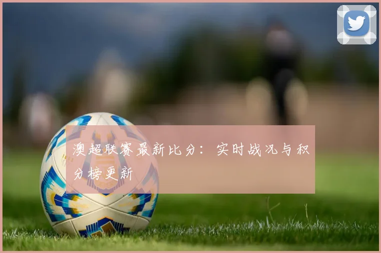 开云app登录