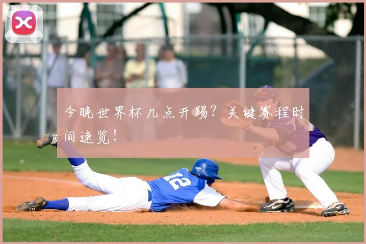 开云app登录