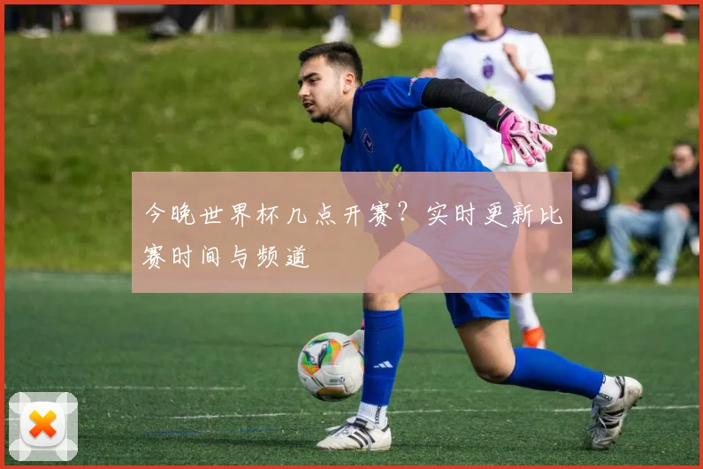 开云app登录