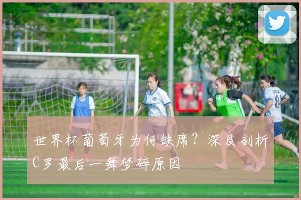 开云app登录