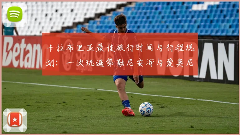 开云app登录
