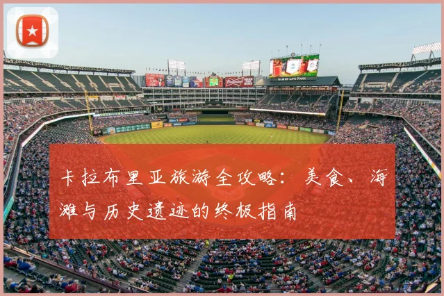开云app登录