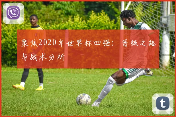 开云app登录